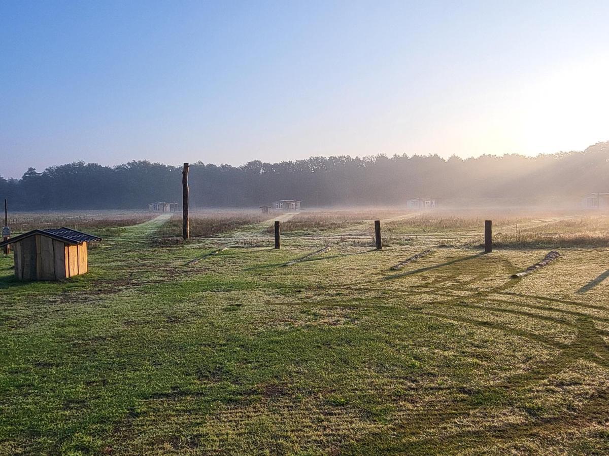 Hoeve Twente - De Buizerd Villa Heythuysen Екстериор снимка
